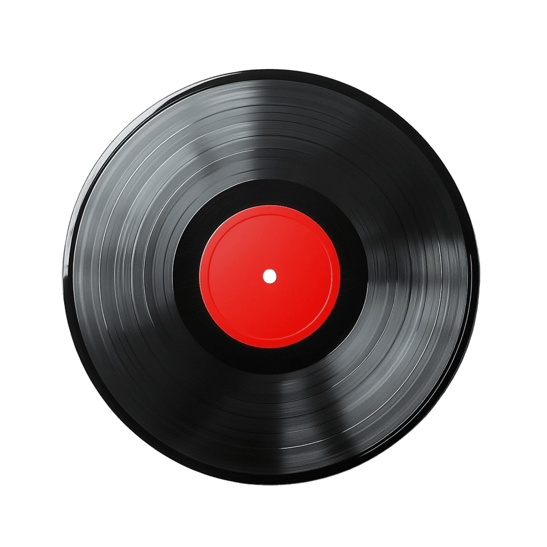 Vinyl record